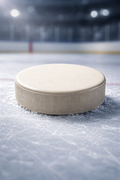 Rondelle de hockey blanche